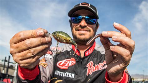 Top 10 Baits From Lake Havasu Major League Fishing