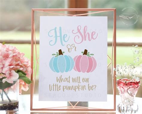Pumpkin Gender Reveal What Will Our Little Pumpkin Be Gender Etsy Fall Gender Reveal Pumpkin