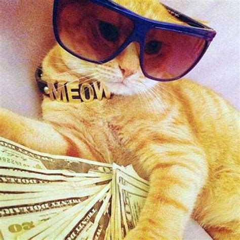 Cats Who Are Richer Than You Can Imagine Klykercom