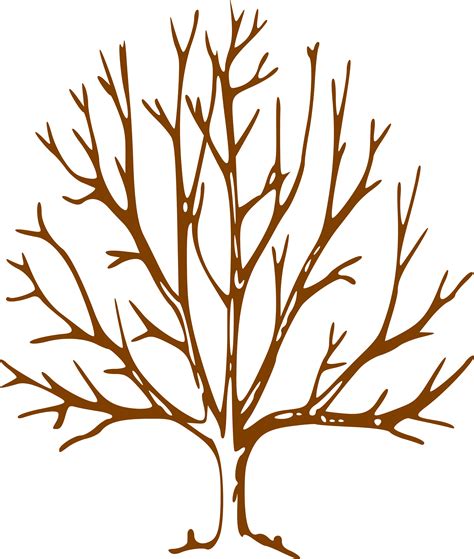 Tree With Bare Branches Clipart 10 Free Cliparts Download Images On