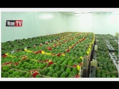 Citizen tv is kenya's leading television station commanding an audience. Cama wa ikondo ria Kenya; MUGAMBO WA MURIMI (Part 2) - YouTube