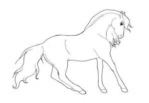 Wist je dat paarden al meer dan 70 miljoen jaar bestaan? Paarden Kleurplaten » Animaatjes.nl