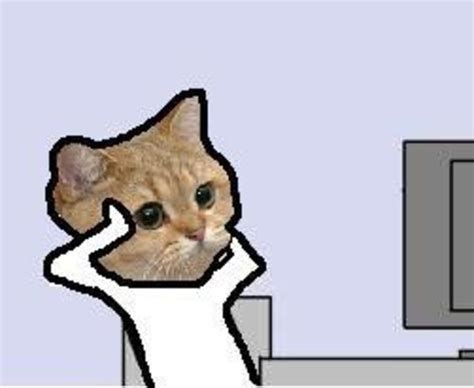 [image 134381] starecat grafics cat know your meme
