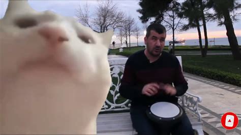 Turkish Musician In Cat Vibing Meme On Youtube News