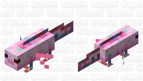 Axolotl Heat Remade Version Nitwit Minecraft Mob Skin