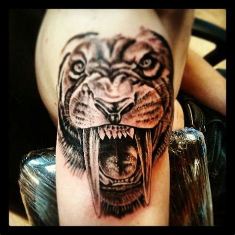 Check spelling or type a new query. Saber tooth tiger Artist Jesse Coe (com imagens) | Tatoo