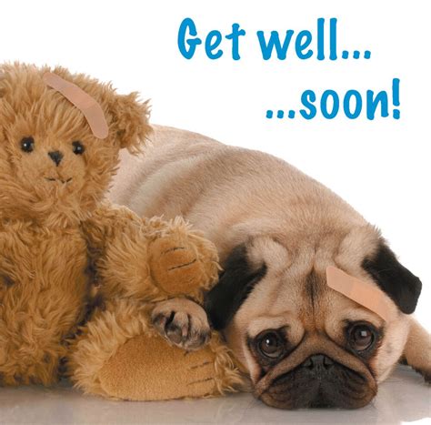 It lets the recipient know that you hope they sending a get well soon card is the easiest way to let someone know they're being thought of. Get Well Soon Card Pug Puppy & Teddy Bear Blank Greetings ...