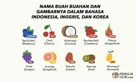 Nama Buah Dan Gambarnya Dalam Bahasa Indonesia Id