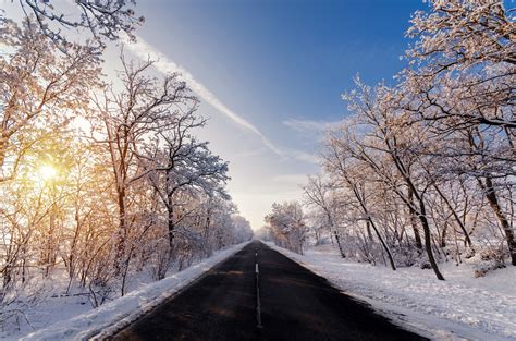 Winter Snow Road Trees 4k Hd Wallpaper