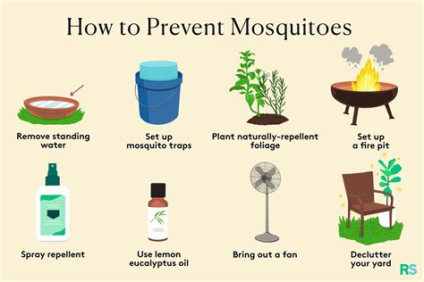 How To Get Rid Of Mosquitoes In Your Yard