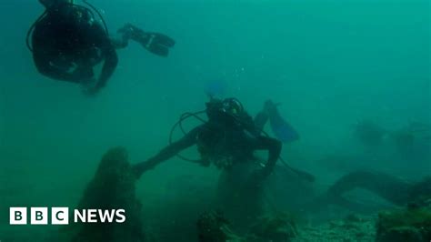 Ancient Underwater Forest Found In Us Bbc News