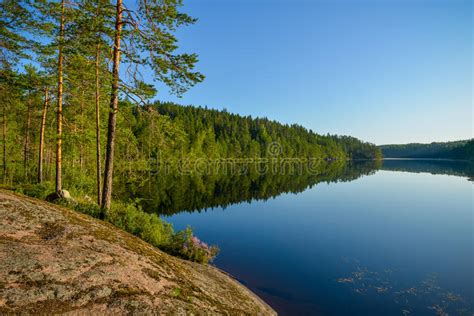 Calm Lake Scenery In Summer Morning Stock Photo Image Of