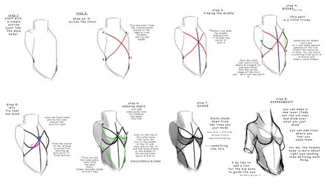 Female Chest (non-offical) by lwyn on DeviantArt