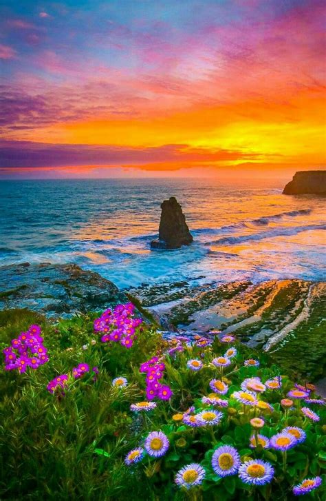 Download the perfect beautiful flower pictures. Beautiful Beach | Beautiful landscapes