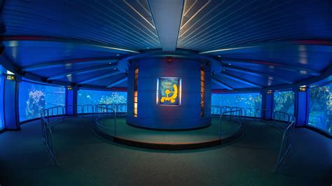 The Seas With Nemo And Friends Atrações Do Epcot Walt Disney World Resort