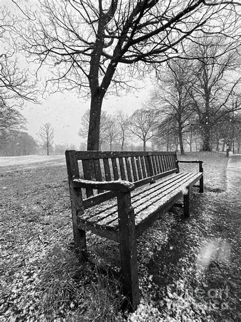 Winter Park Bench Scene Photograph By Douglas Brown Fine Art America