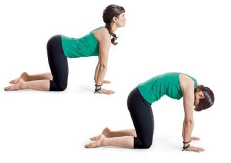 Prenatal yoga poses relieve sciatic nerve pain in pregnancy marjaryasana and bitilasana aka cat/cow. Top 10 Easy Morning Yoga Poses: To Start Your Day Right ...
