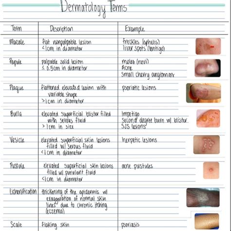 Dermatology Skin Conditions 2 Pages Printable Pdf Immediate Download Etsy