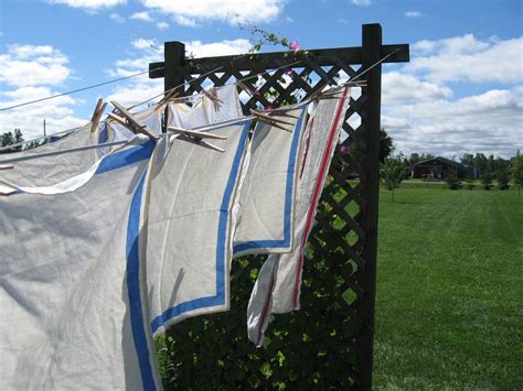 5 Creative And Designer Clothesline Ideas Junk Container Service Group