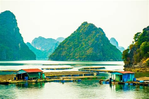 Floating Fishing Village And Rock Islands In Halong Bay Vietnam Stock