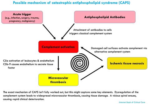 Catastrophic Antiphospholipid Syndrome Caps Emcrit Project