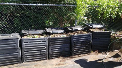 Gardening Composting Recycling Question And Answer Clinic Thurston