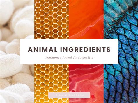 These Common Animal Ingredients Used In Cosmetics Are Not Vegan