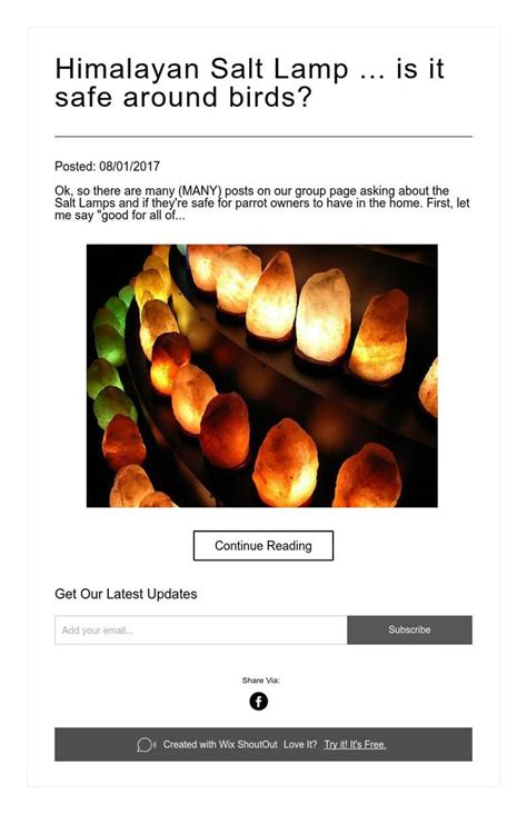 The best himalayan salt lamp for you. Himalayan Salt Lamp ... is it safe around birds? (With ...