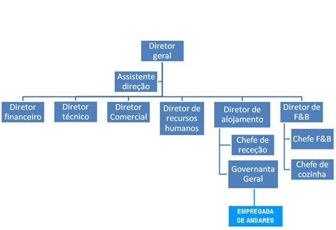 Organograma Como Apresentar A Estrutura Empresarial De Forma Clara 16d