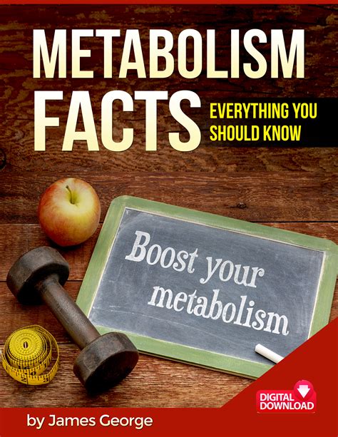 Metabolism Facts Everything You Should Know Buygoods
