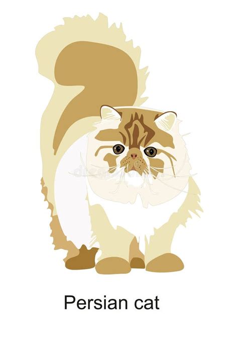 Persian Cat Stock Illustrations 7047 Persian Cat Stock Illustrations