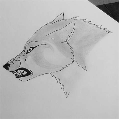 Growling Wolf By Kaohzwolf On Deviantart