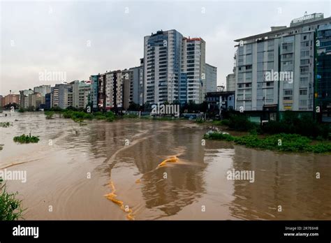 Flash flood. Torrential rains that fill the rivers and roads instantly