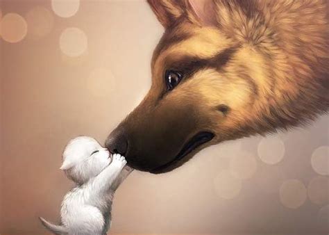 Get inspired by our community of talented artists. Dog & Cat - Dogs Fan Art (29035883) - Fanpop