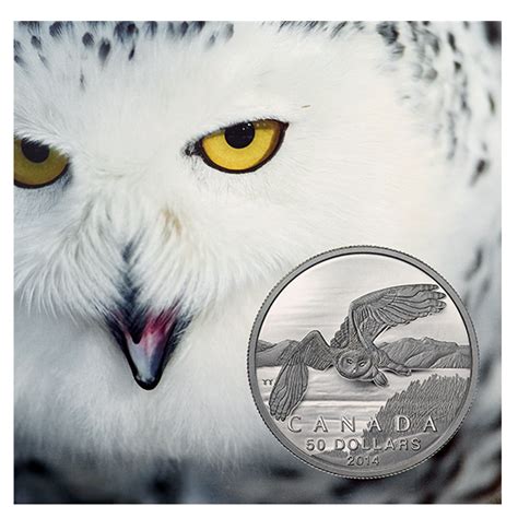 Fine Silver Coin Snowy Owl 2014 Snowy Owl Owl Silver Coins
