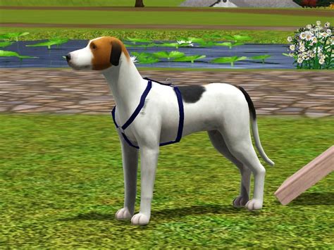 Harnesscollars Dog Harness Sims 3 Sims