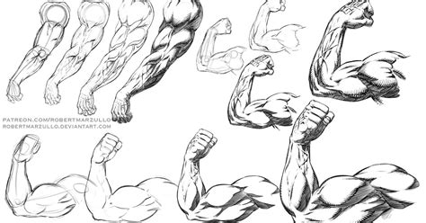 Anime manga male abs anatomy reference drawings. Ram Studios Comics: How to Draw and Shade Muscular Arm Poses - Comic Book Style - Step by Step