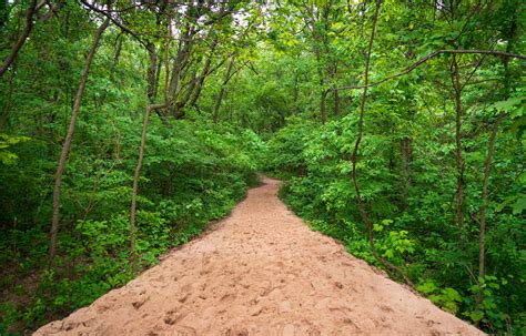 Indiana Dunes National Park The Complete Guide