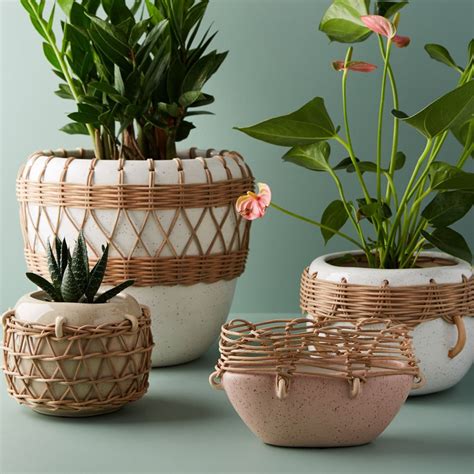 We've curated plant gifts that will inspire the green thumb in your life. The Best Gifts For Plant Lovers and Green Thumbs ...