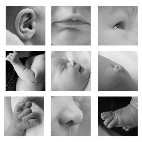 Newborn Baby Collage