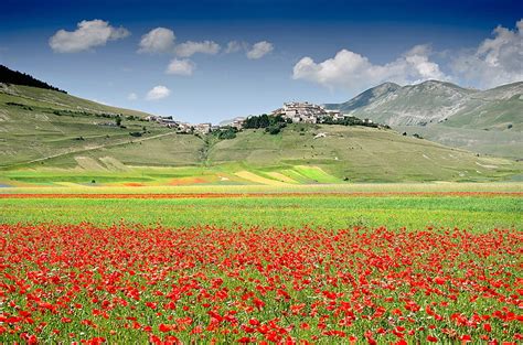 Field Flowers Mountains Maki Home Meadow Italy Town