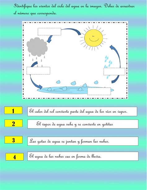 Actividad Interactiva De El Sol Actividades Interactivas Ciclo Del