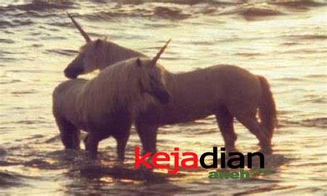 Unicorn Asli Bersayap Di Indonesia