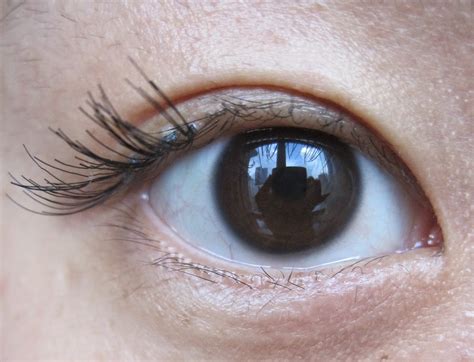 Daiso lash review | $1.50 false eyelashes. To Flawless: Review: Daiso False Eyelashes (6 different ...