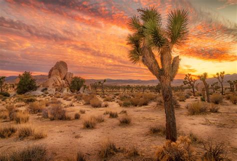 More images for desert sunset landscape rock » Scenery Photography Backdrops Desert In Sunset Landscape ...