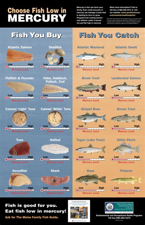 Recommended Fish Intakes For Pregnant Mothers Mercury Free Society