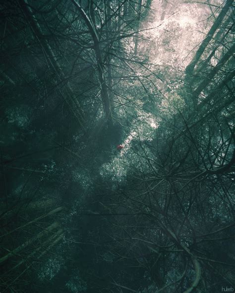 huleeb - LUCID DREAM