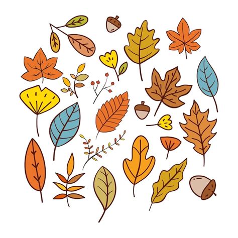 Premium Vector Hand Drawn Autumn Leaves Collection
