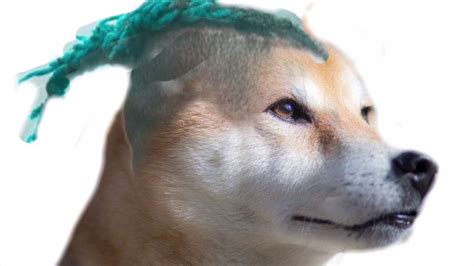 Dog With Hat Meme Ps Youtube
