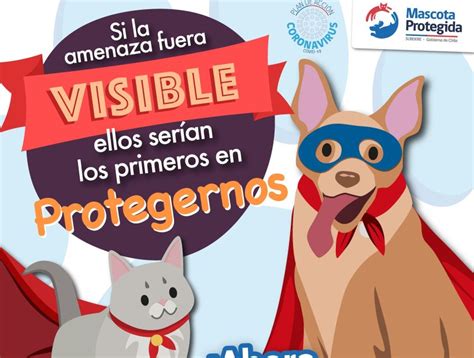 Lanzan Iniciativa Para Evitar El Abandono De Mascotas Soychilecl